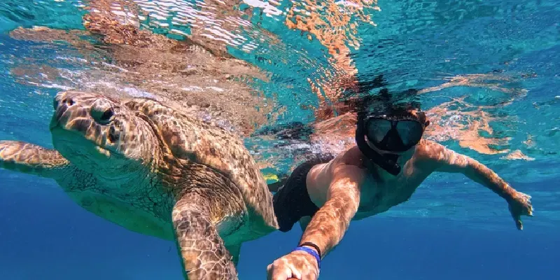 Snorkeling à Sataya Dolphin Reef à Marsa Alam